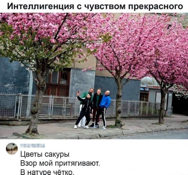 Забавные комментарии из социальных сетей (22.05.23)
