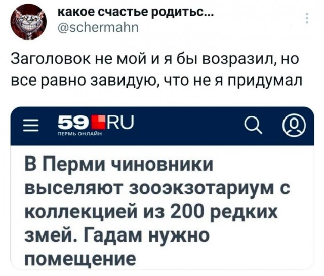 Весёлый полтишок 01.10.23