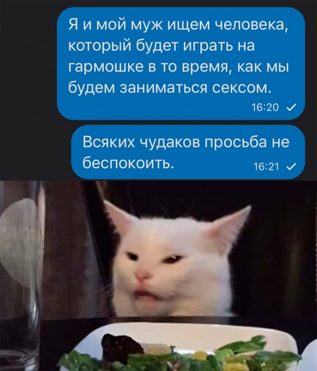Весёлый полтишок 01.11.23
