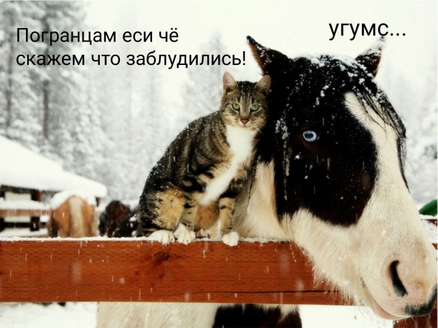 Семь неочевидных причин, почему мужчина не хочет секса
