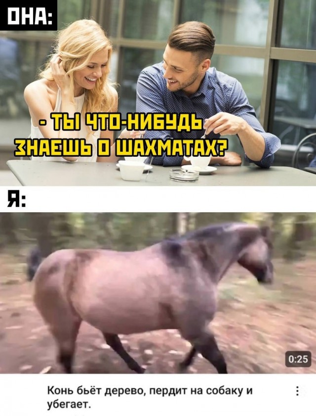 Забавные комментарии из социальных сетей (18.12.23)