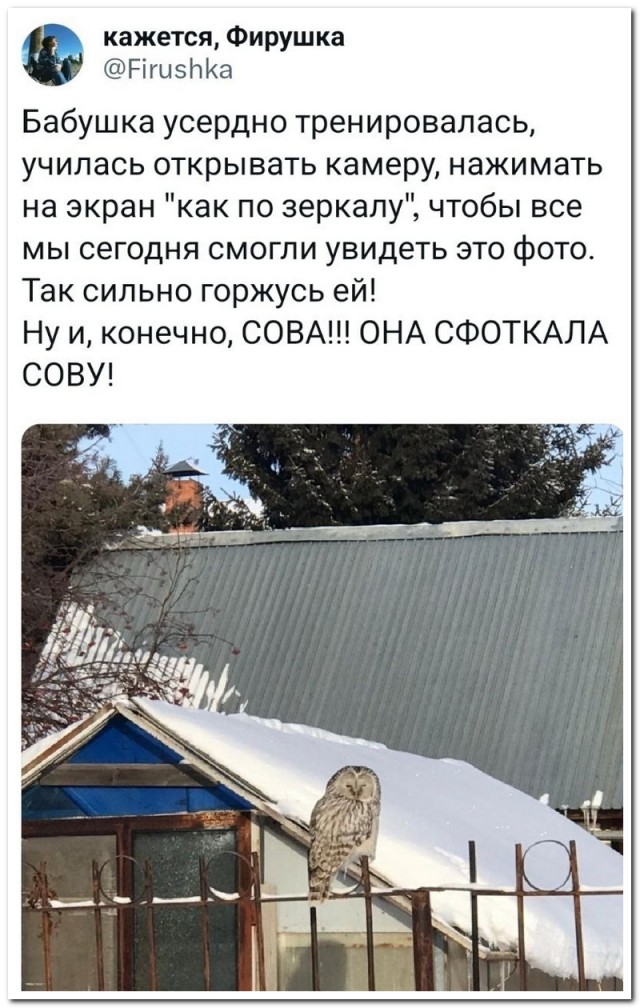 Забавные комментарии из социальных сетей (19.02.24)