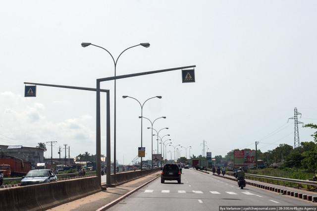 Только крокодилы спасут эту страну от мудаков!