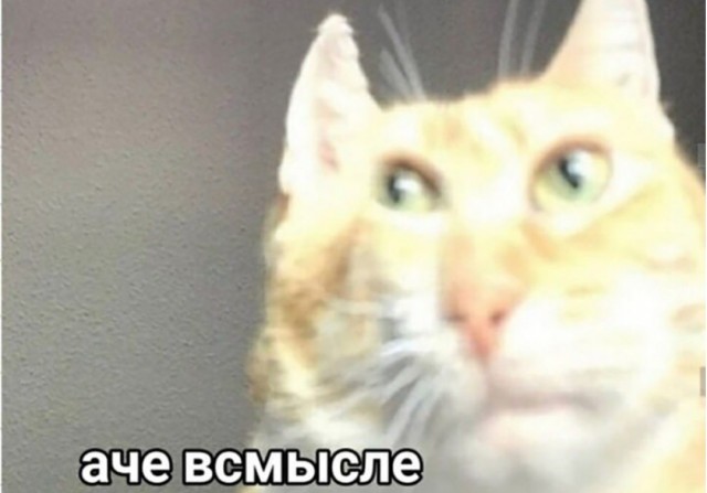Врач и вдова финансиста с Уолл-стрит Рут Готтесман пожертвовала 1 млрд. долларов Медицинскому колледжу имени Альберта Эйнштейна