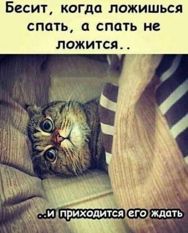 Никакие картинки и такие же тексты