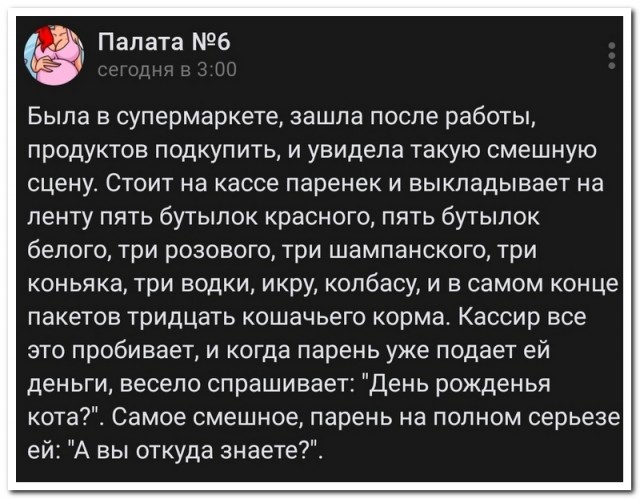 Забавные комментарии из социальных сетей (28.05.24)