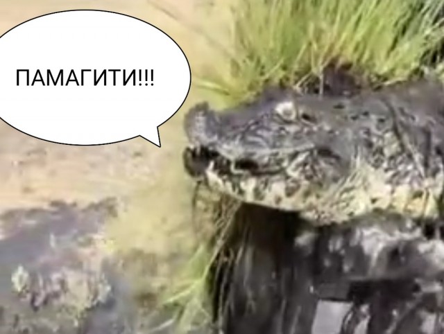 Расчистка русла
