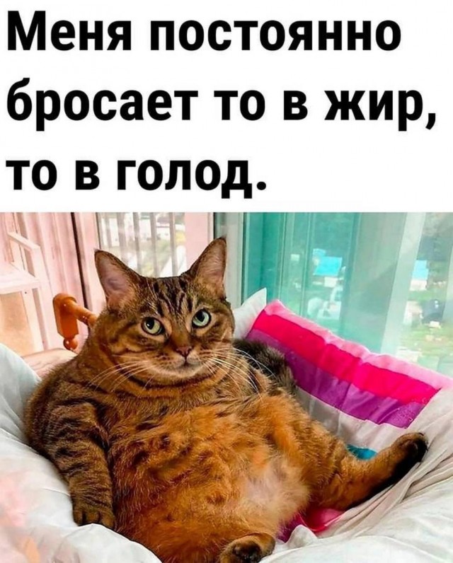 Нуштош 19.09.2024