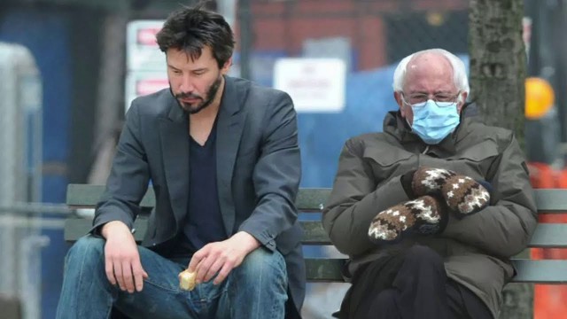 СлонотЯп-2. Итоги