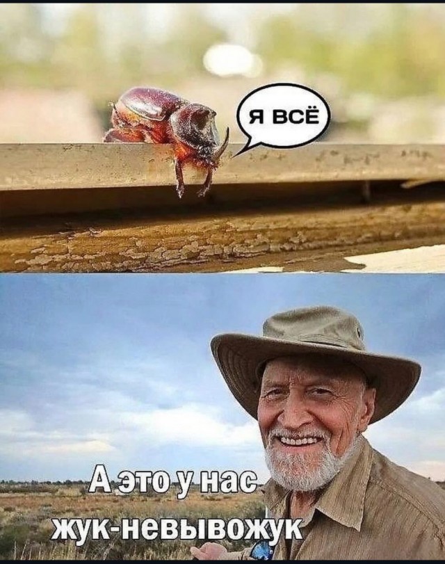 Завалялось тут случайно немного забавных картинок