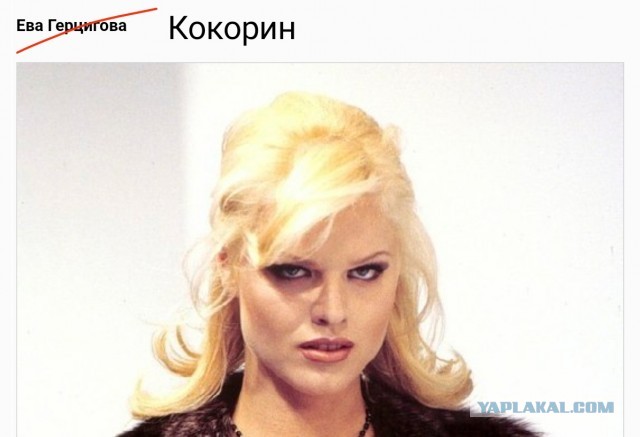 Люди и лица 14.11.24