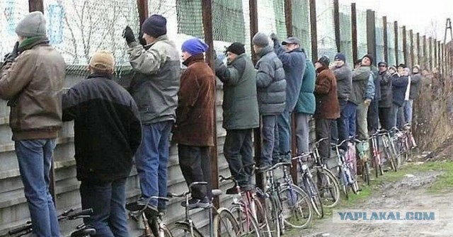 Про очереди за забором, которых давно нет