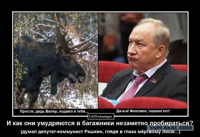 Воспитательный прилёт