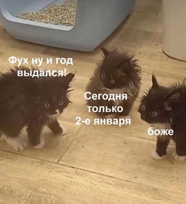 Завалялось тут случайно немного забавных картинок