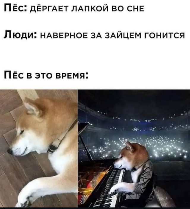 Завалялось тут случайно немного забавных картинок