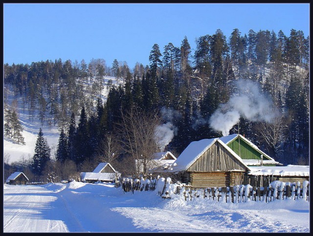 Тайга зимой