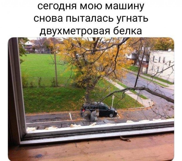 Завалялось тут случайно немного забавных картинок