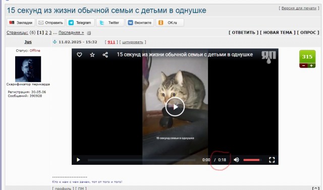 15 секунд из жизни обычной семьи с детьми в однушке
