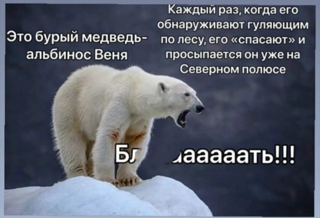 "Помощники"