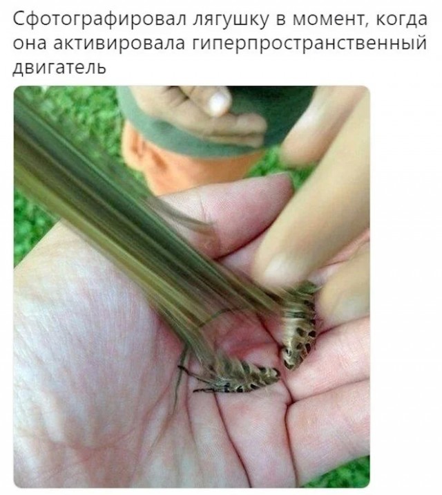 Интернет мемы на утро субботы