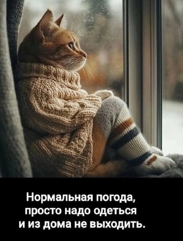 Так себе картинки 24.05.25
