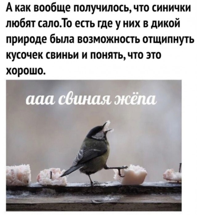 Картинки с надписями