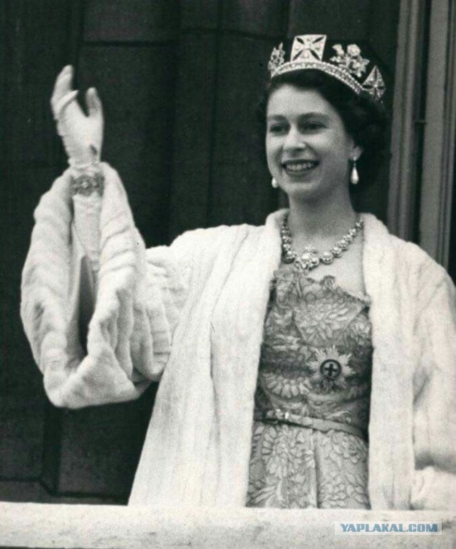 Королева Елизавета