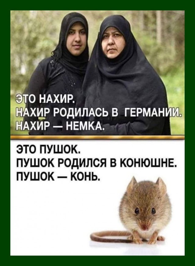 Так себе картинки 28.08.25