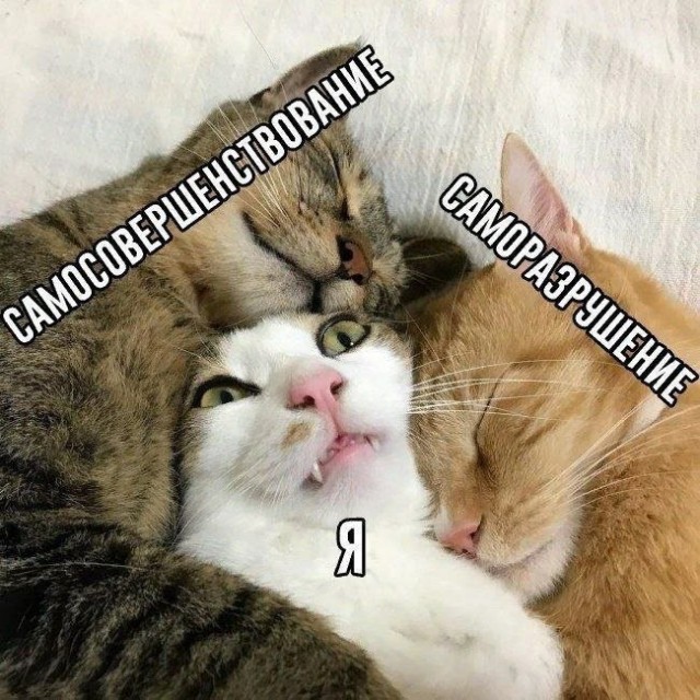 Еще только вторник …