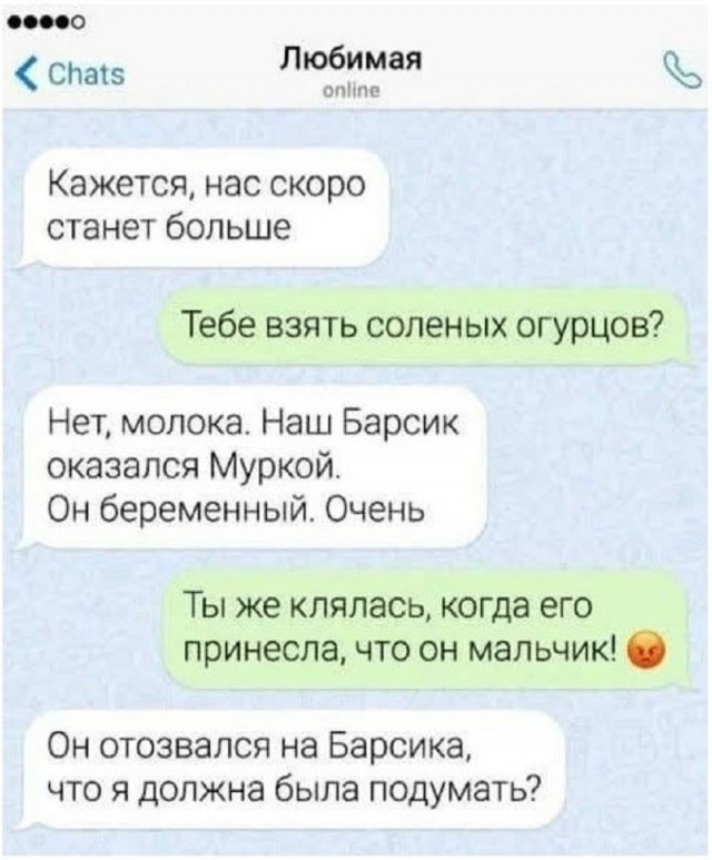 Так себе картинки 22.10.25