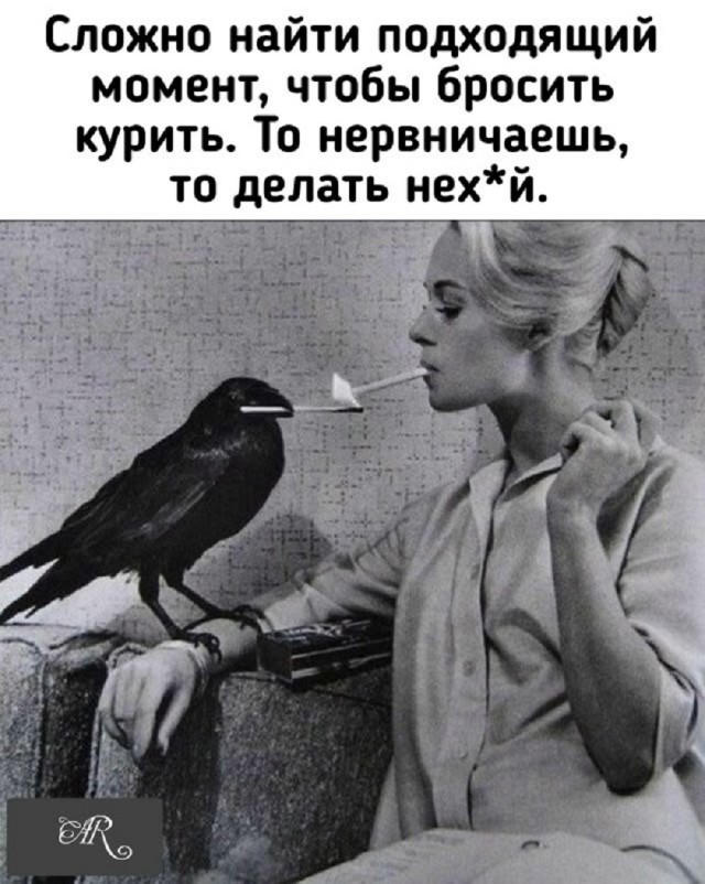 Так себе картинки 03.11.25