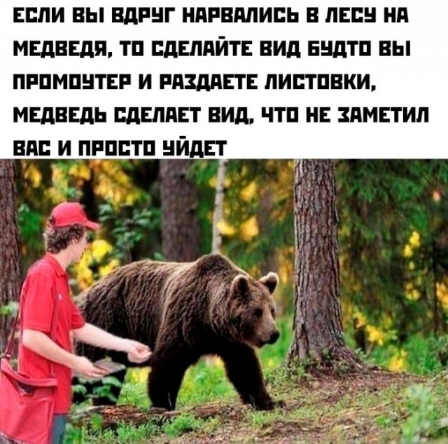 Веселые картинки в маленькую пятницу (21.01)