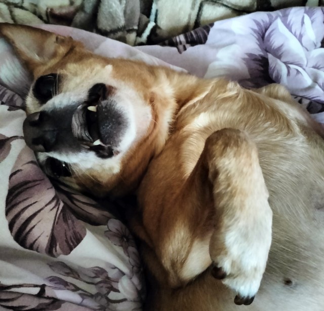 Жаклин 2.0.