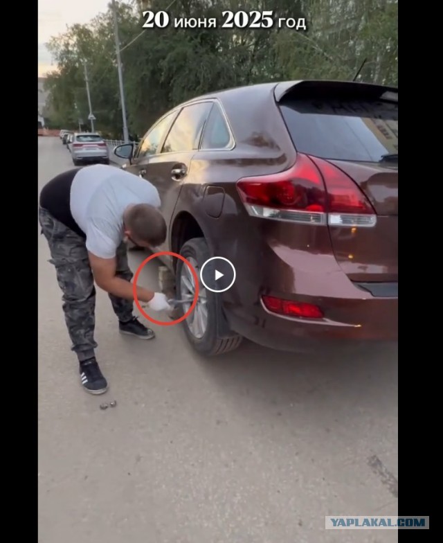 Котенок обрёл свой уютный дом