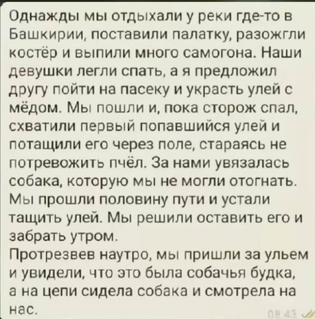 Веселые картинки в понедельник (06.07)