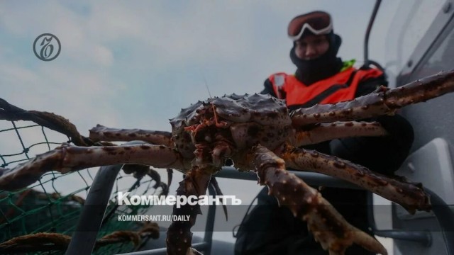 Голубой краб, крабалка в Италии в Бибионе...