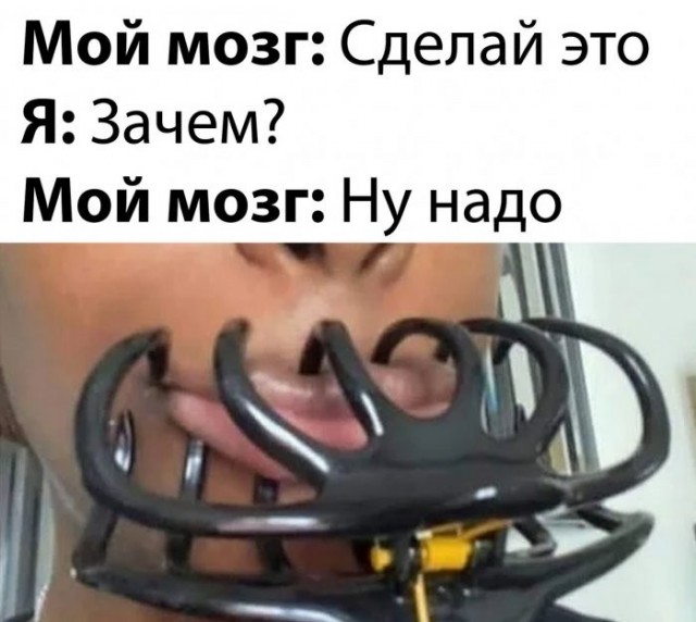 Веселые картинки в понедельник (21.09)