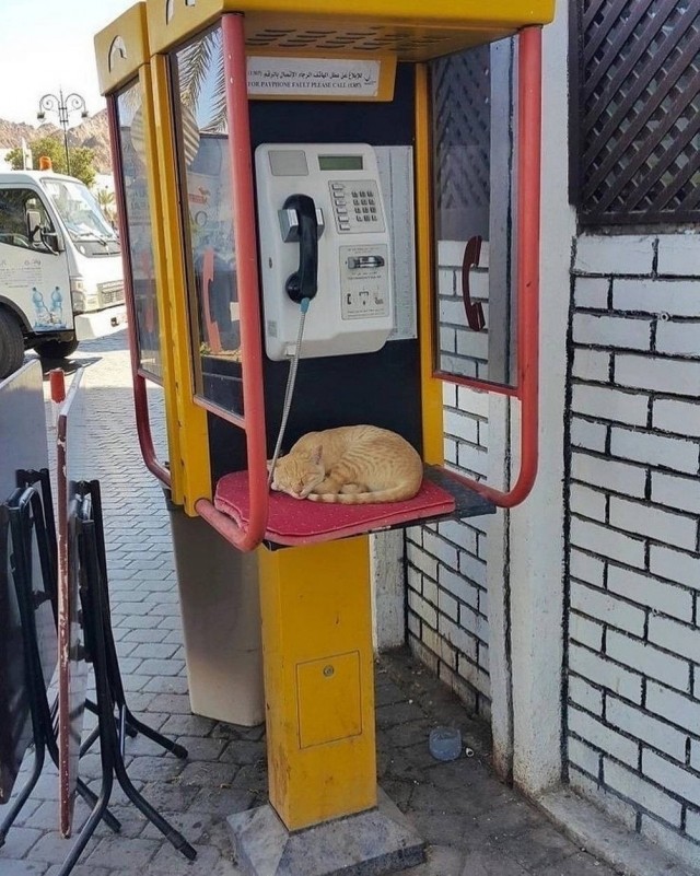 Прикольные и просто красивые картинки 25.09.2026