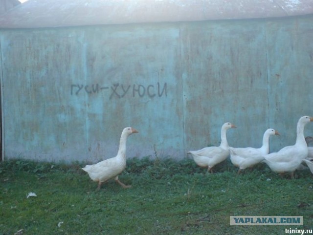 Напишите кто смог не заржать.