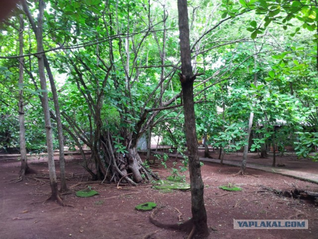 Остров Сан-Андрес