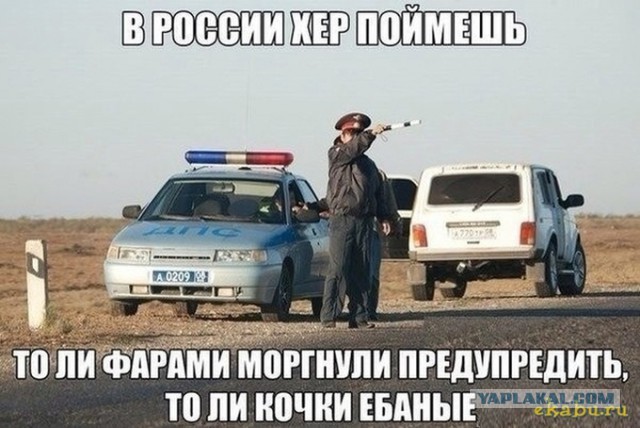 Позитивные картинки и комментарии.