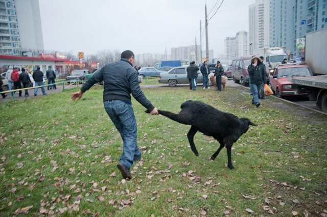 Курбан-Байрам в Москве