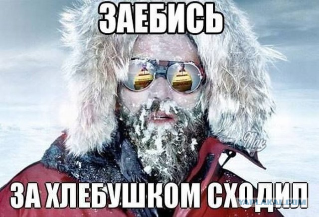 Уренгойская тушь... 100% объема