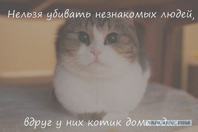 Забавные картинки.