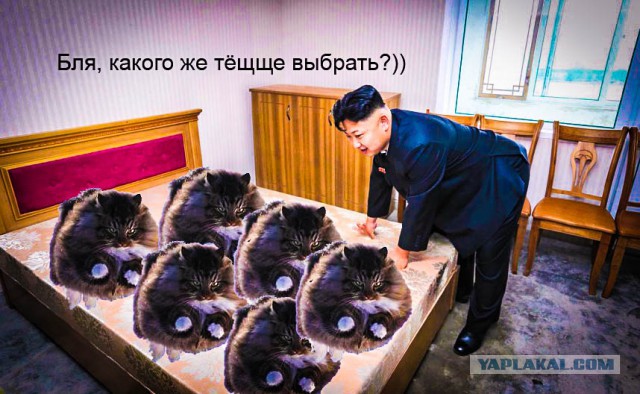 Ну очень жабельно