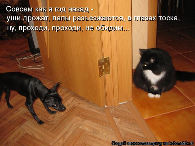Немного братьев наших меньших! ЧЕТВЕРГ