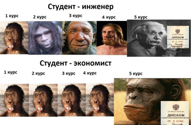 Нелегкие будни гуманитария