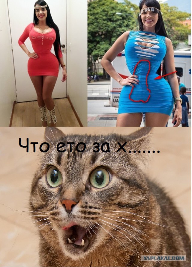 Тонкая талия и широкие бедра