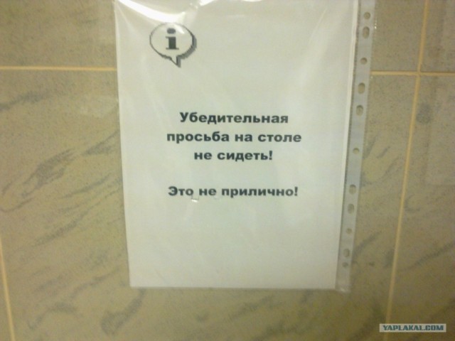 Прикольные фотки с мобильника