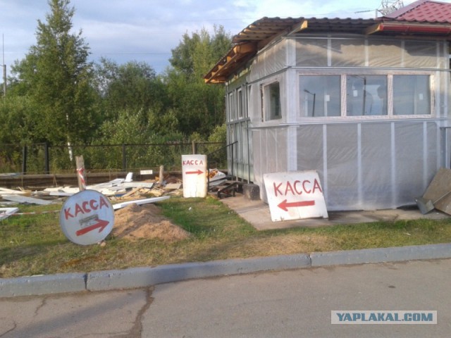 Веселые картинки